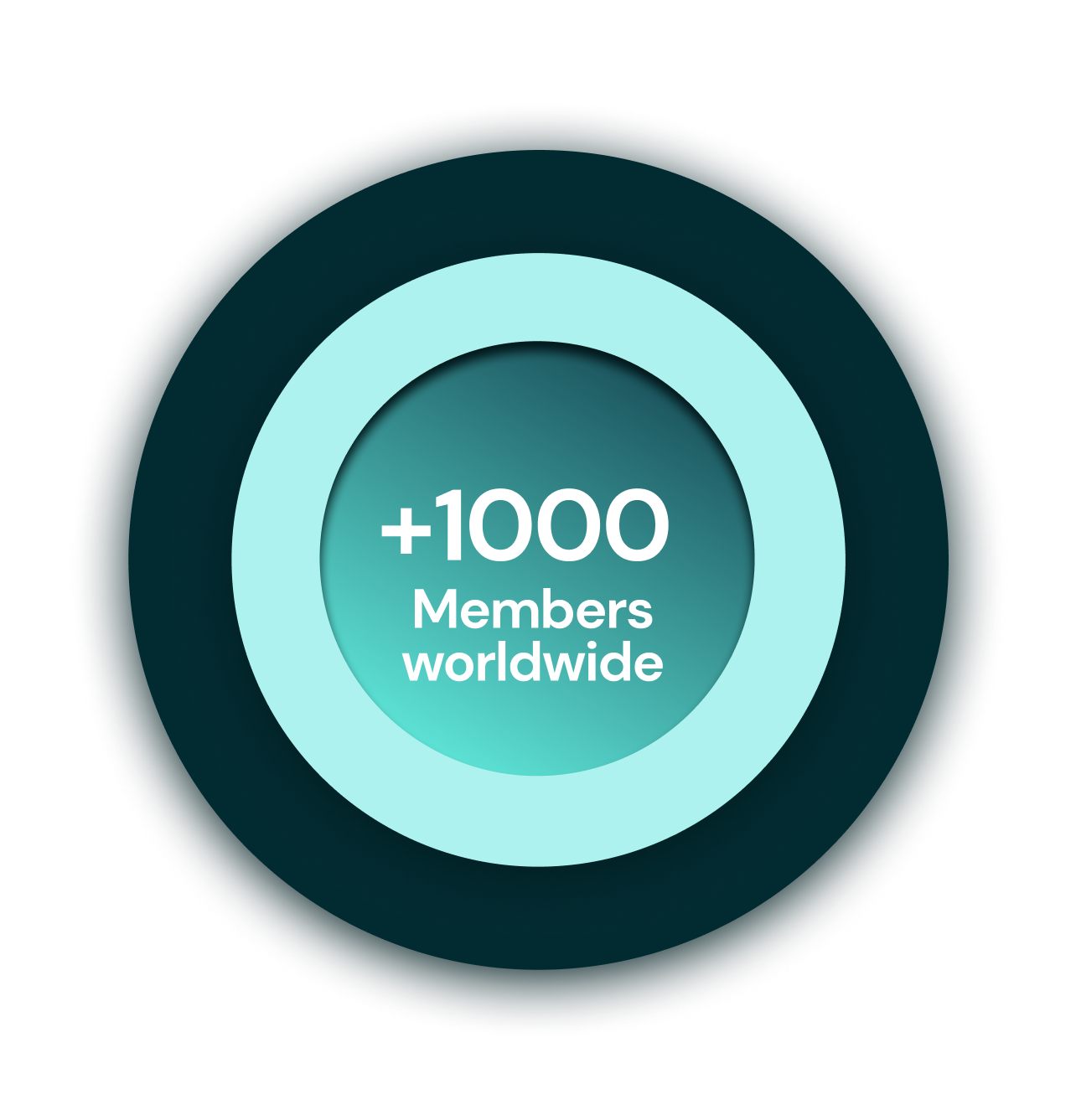 +1000 Members worldwide